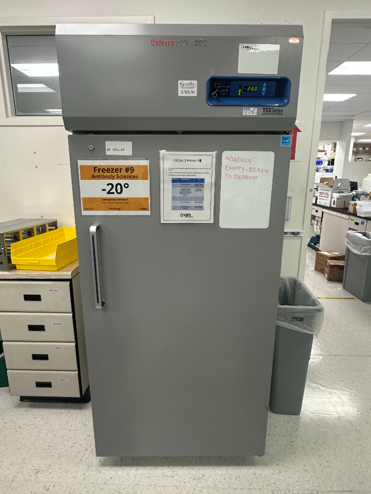 Image of Thermo Scientific -20C Freezer